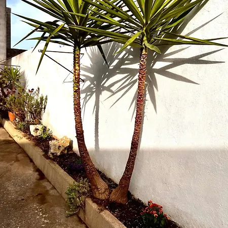 Monolocali Charlot Lejlighed *