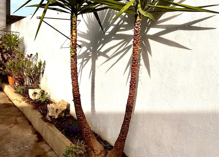 Monolocali Charlot Lejlighed *